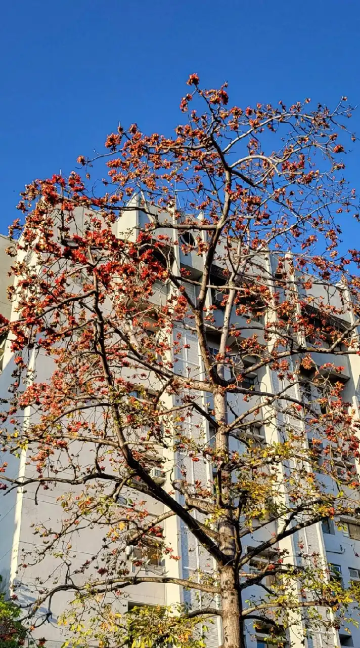 學年班～GCLab-NCHU.