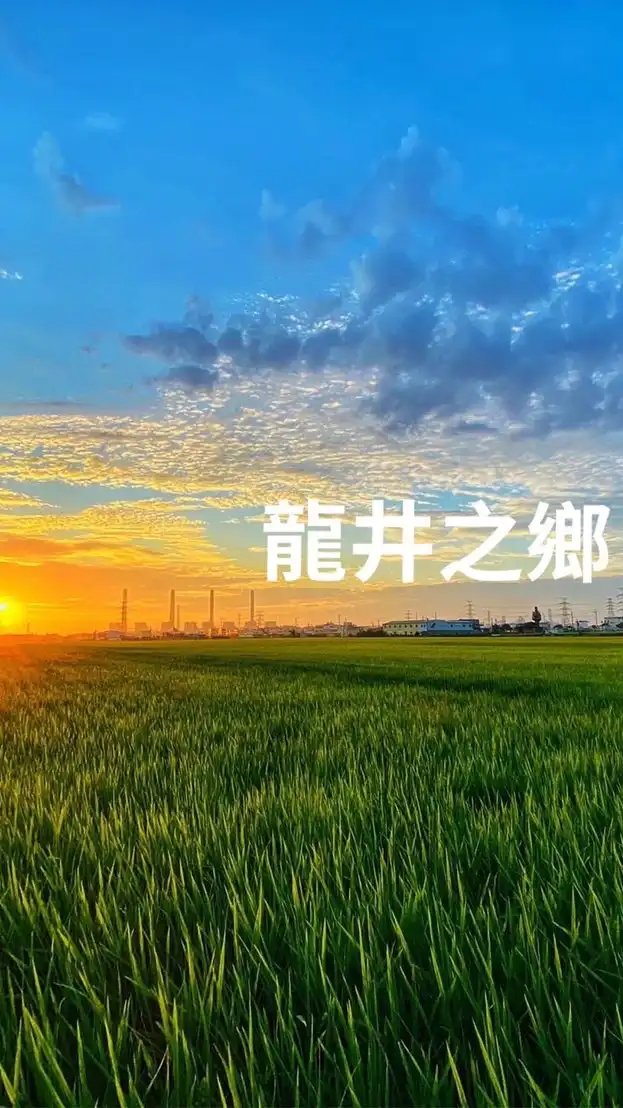 龍井之鄉 Hometown Of Longjing