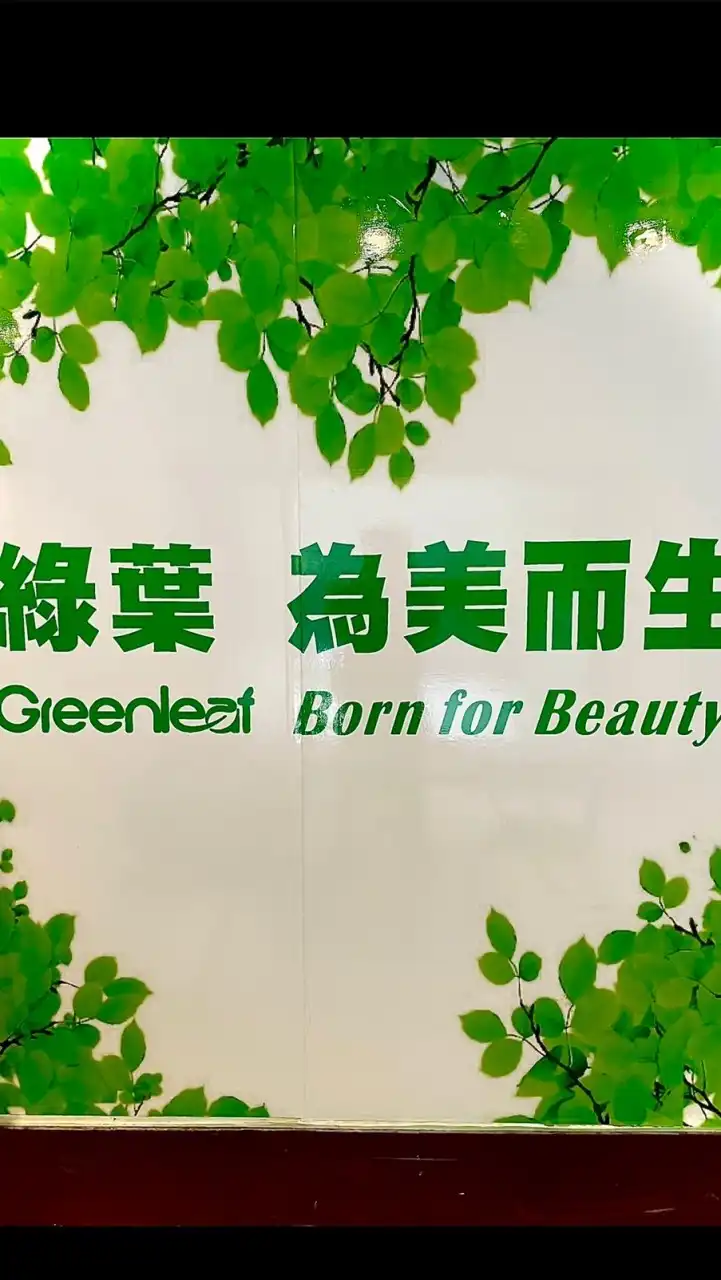 台灣新北綠葉環保生活用品旗艦店