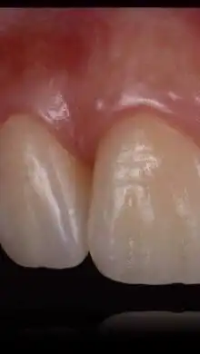 DrS 盾牌醫師團購群