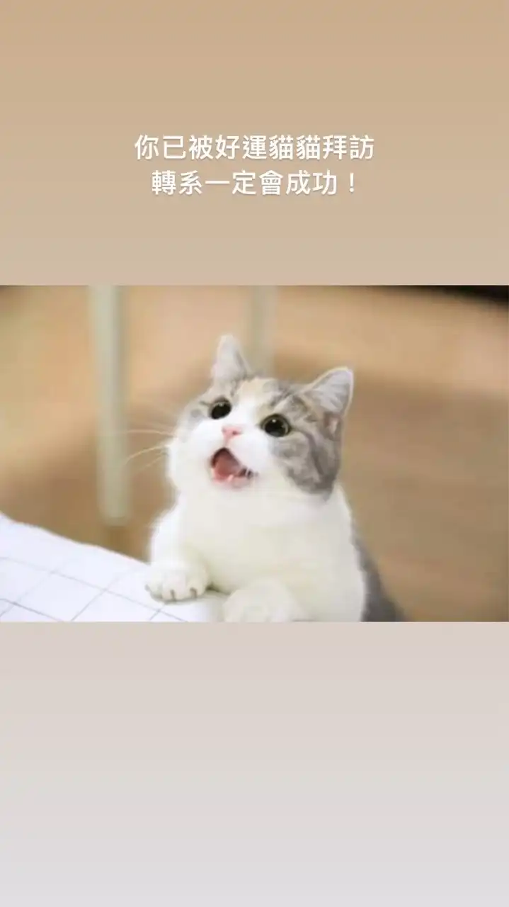北大轉系討論群