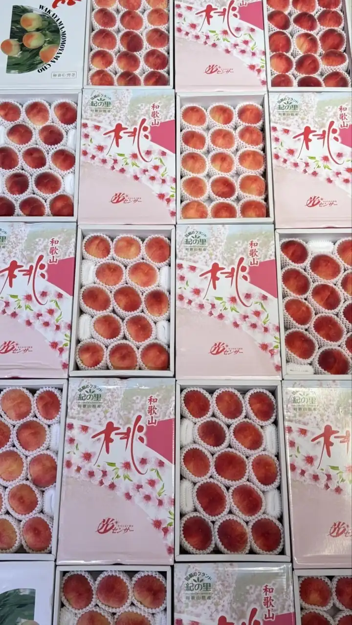 水果奶奶-日本進口精品果物