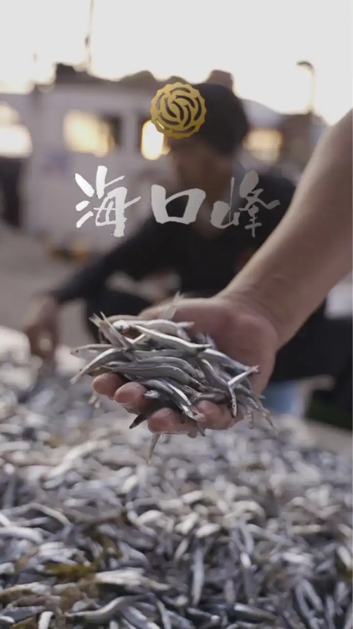 海口峰水產《海鮮團購網》工廠直營網路門市