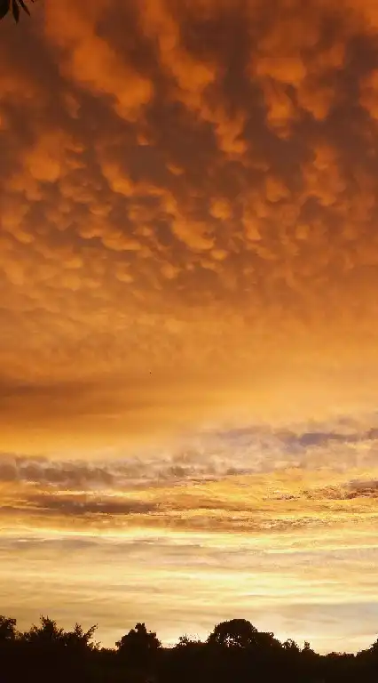 桃園好吃好玩又好逛＜2群＞美食.旅遊分享