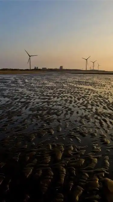 我是桃園人❤️