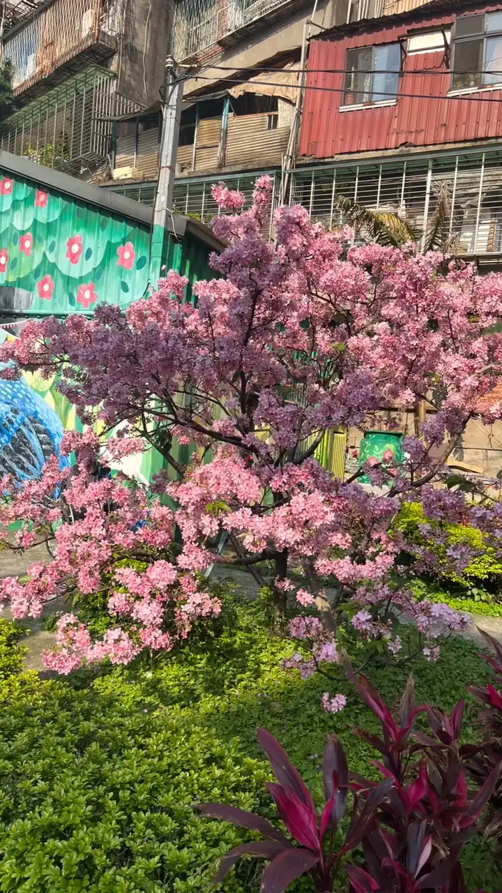 美食 便宜賣回饋大家