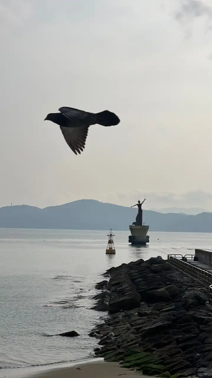 丸全魚樂（魚丸美食&旅遊分享）