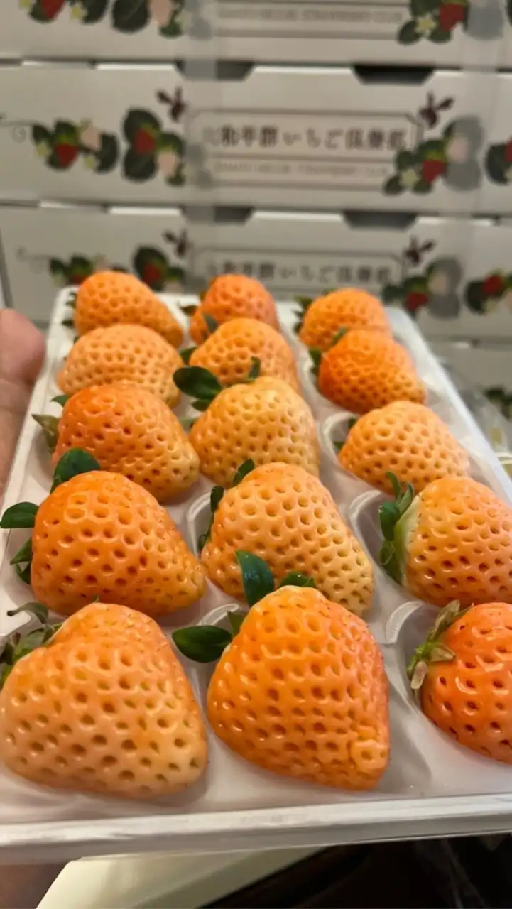 股神226春酒哥急拉之友會