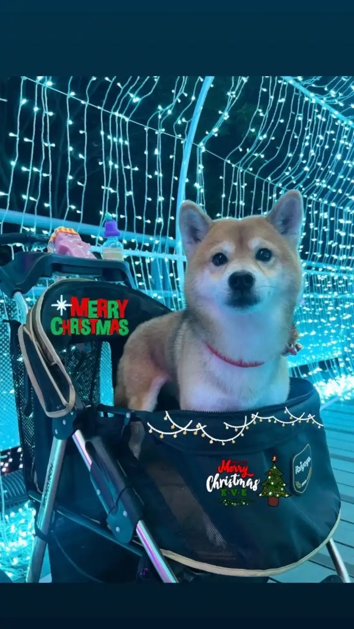 🌟𝕂台股資訊站📈