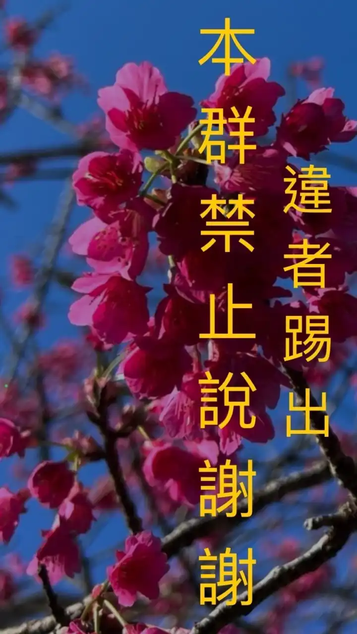 投資研究報告群