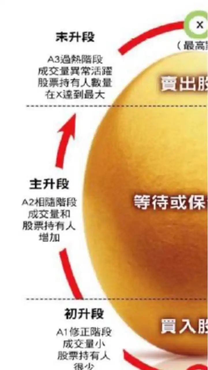 柯南偵探《股林秘笈》集眾人智慧挑選投信投顧盍牌精品股
