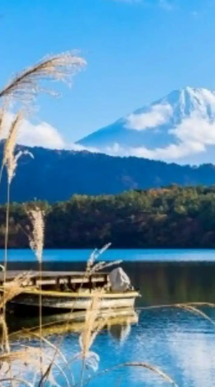 👑股市山水討論群