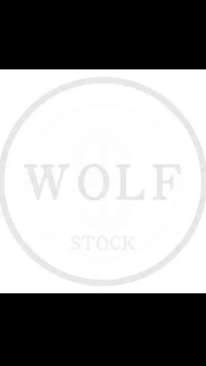 Wolfstreet台股鎮守隊