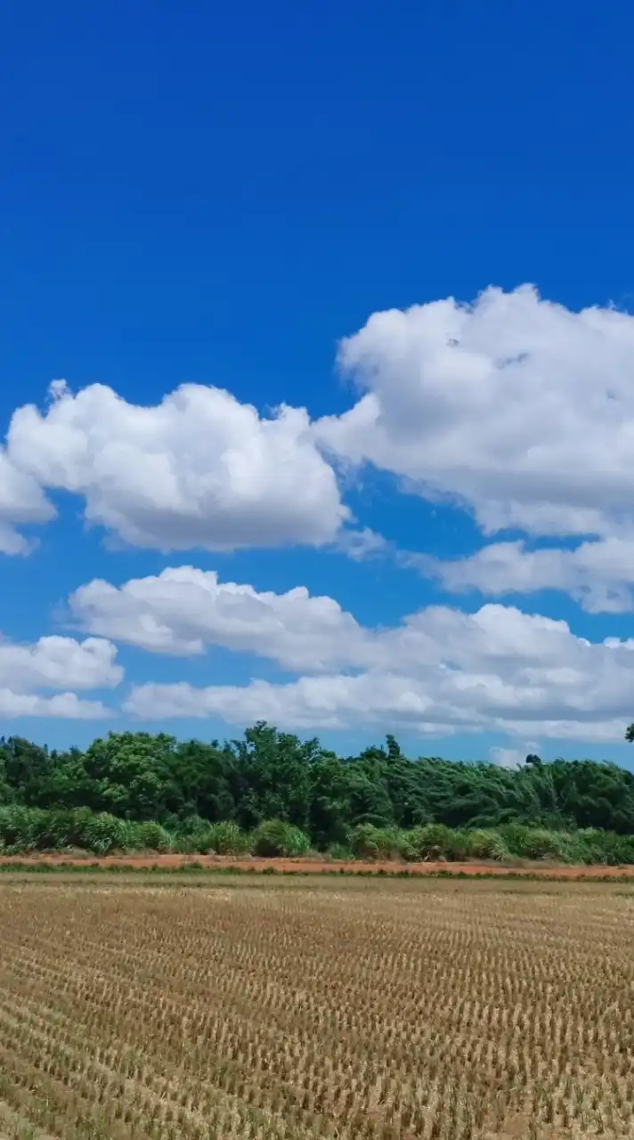 平興國小501