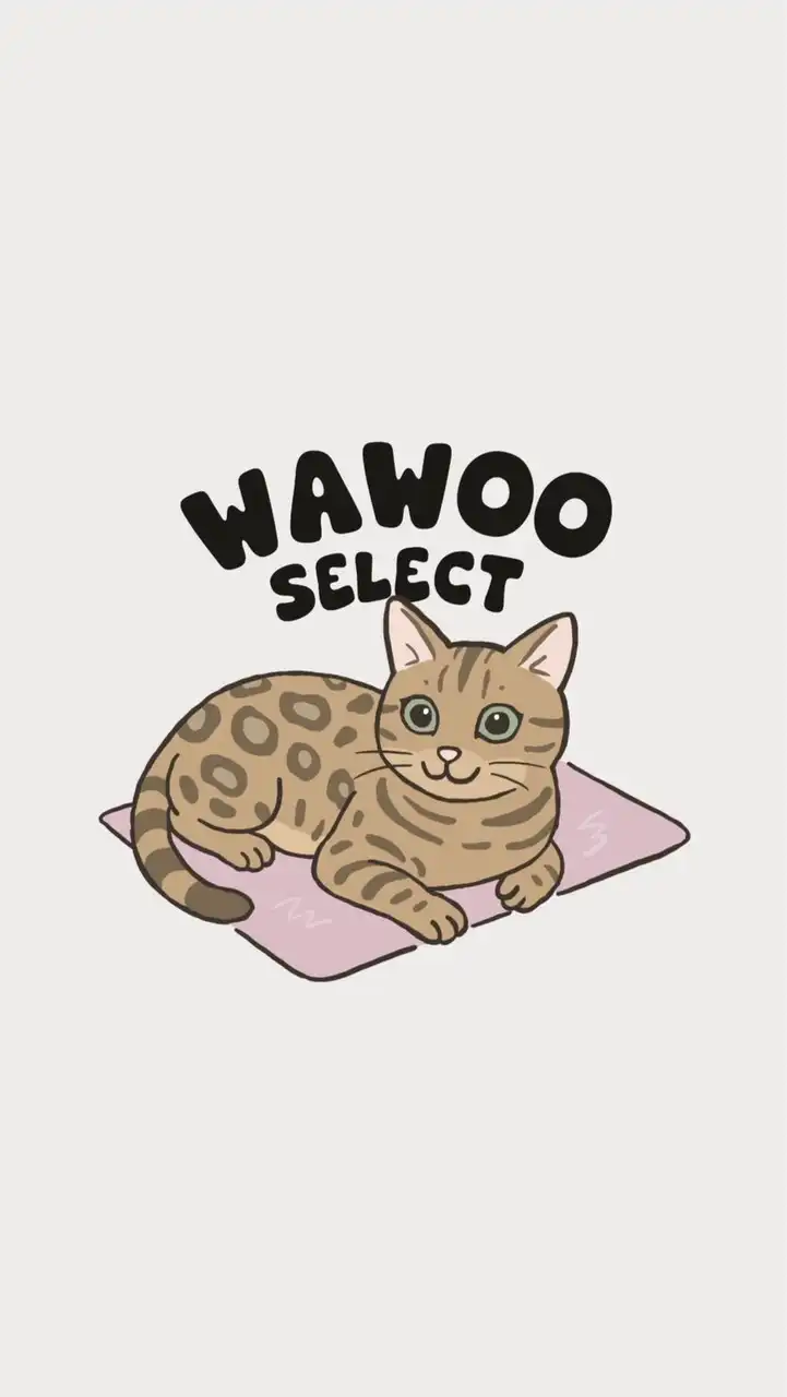 WAWOO連線社群🐱