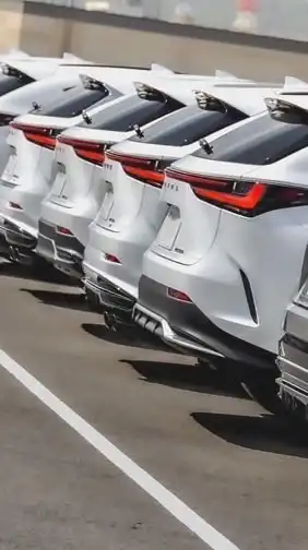 Lexus NX 趴趴走