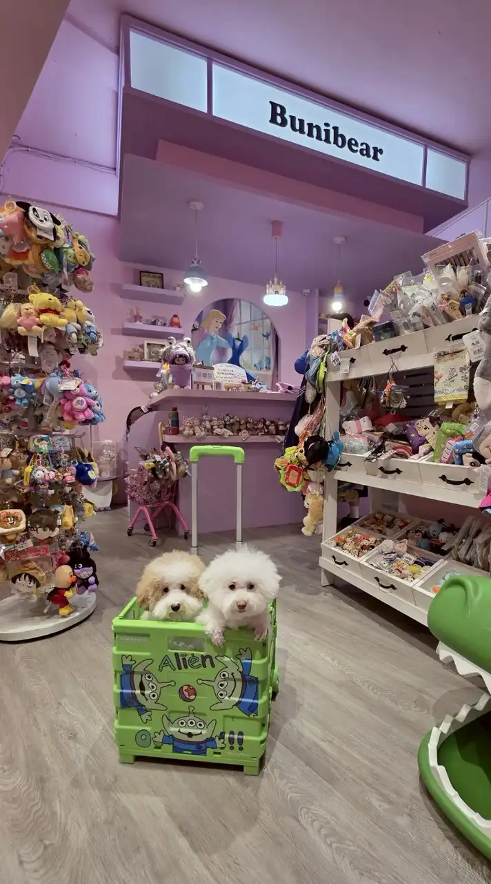 Bunibear.手機殼雜貨玩具店