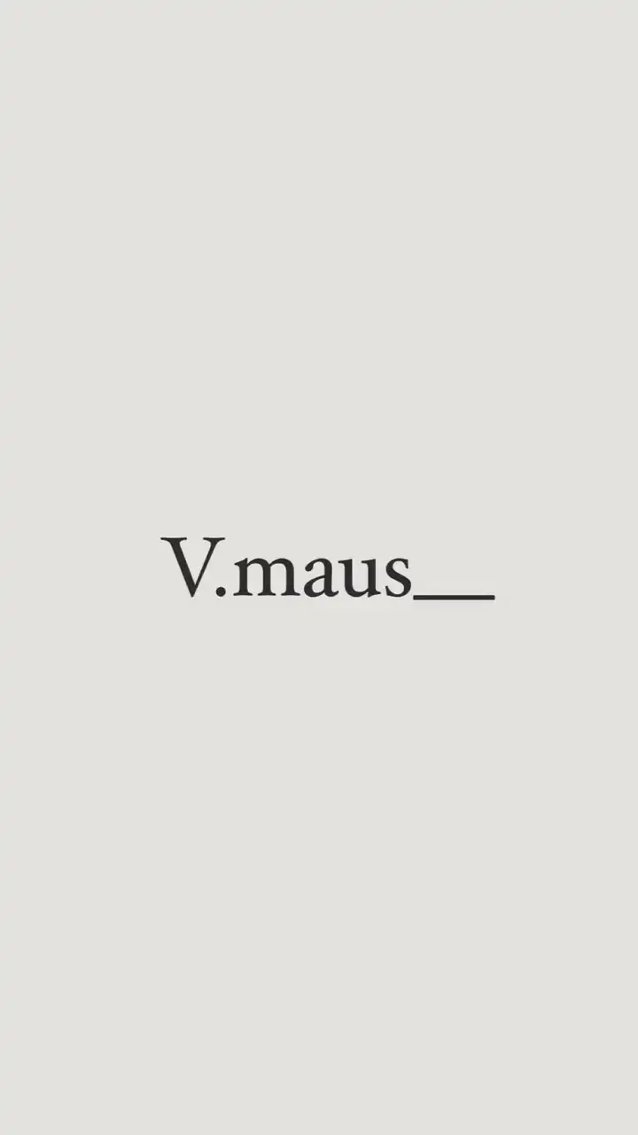 V.maus__✈️