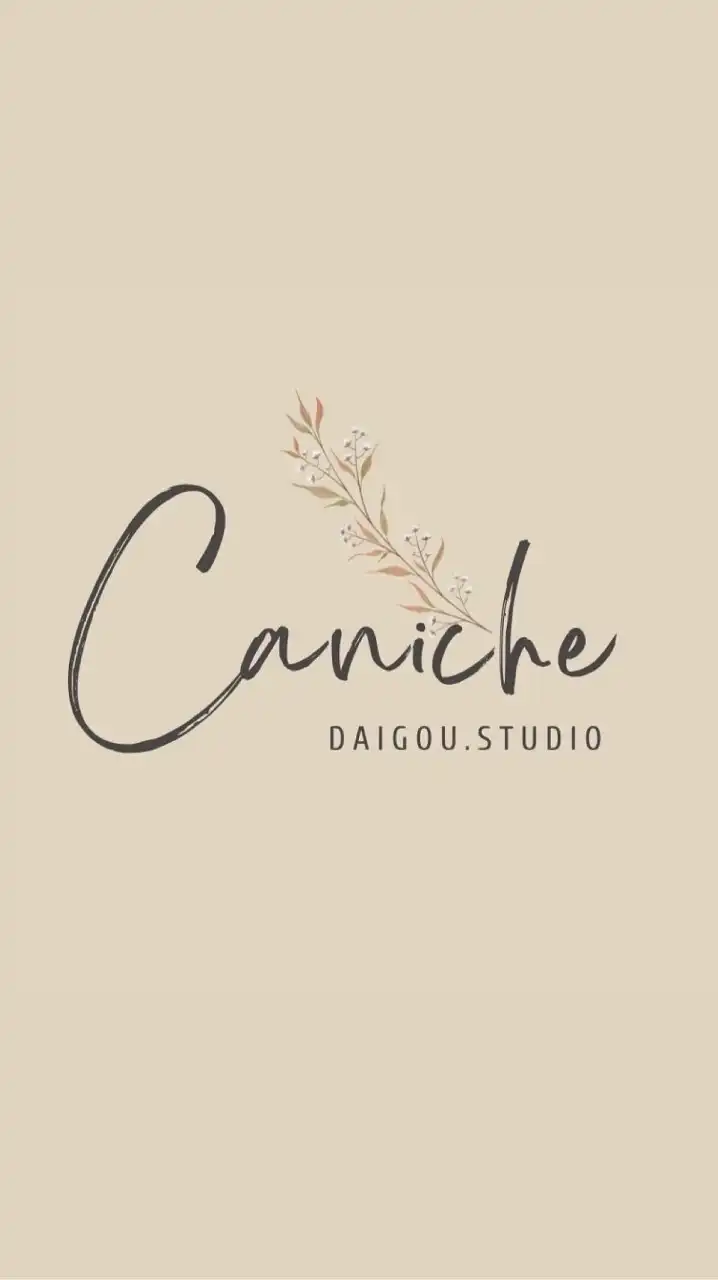 Caniche_Studio