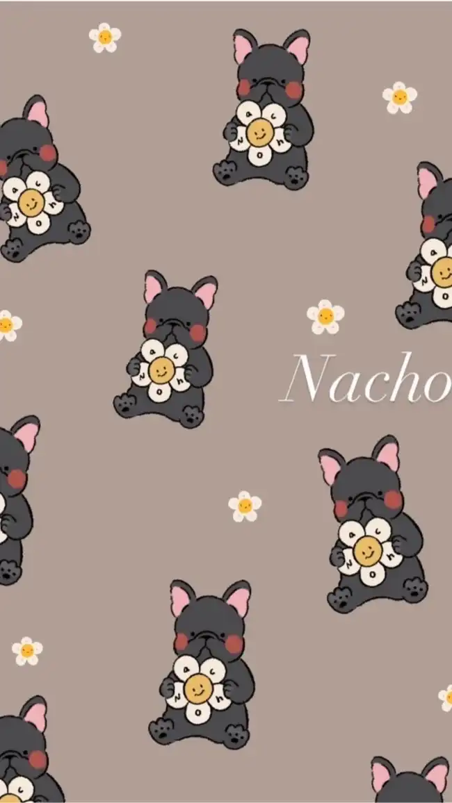 Nacho黑狗2群（開放發言）