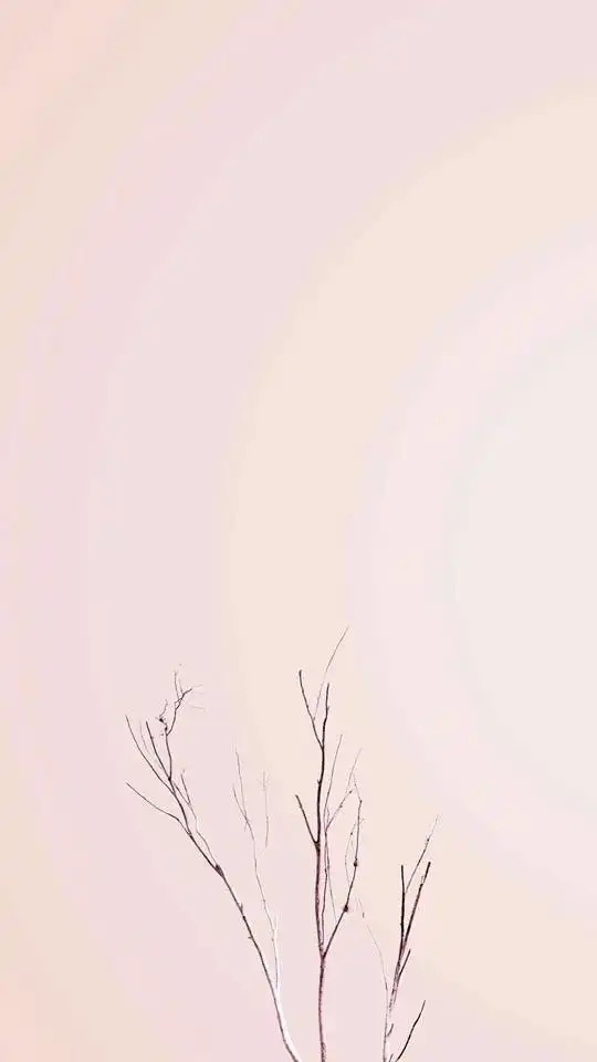 🇺🇸Balita4_二手&精品群