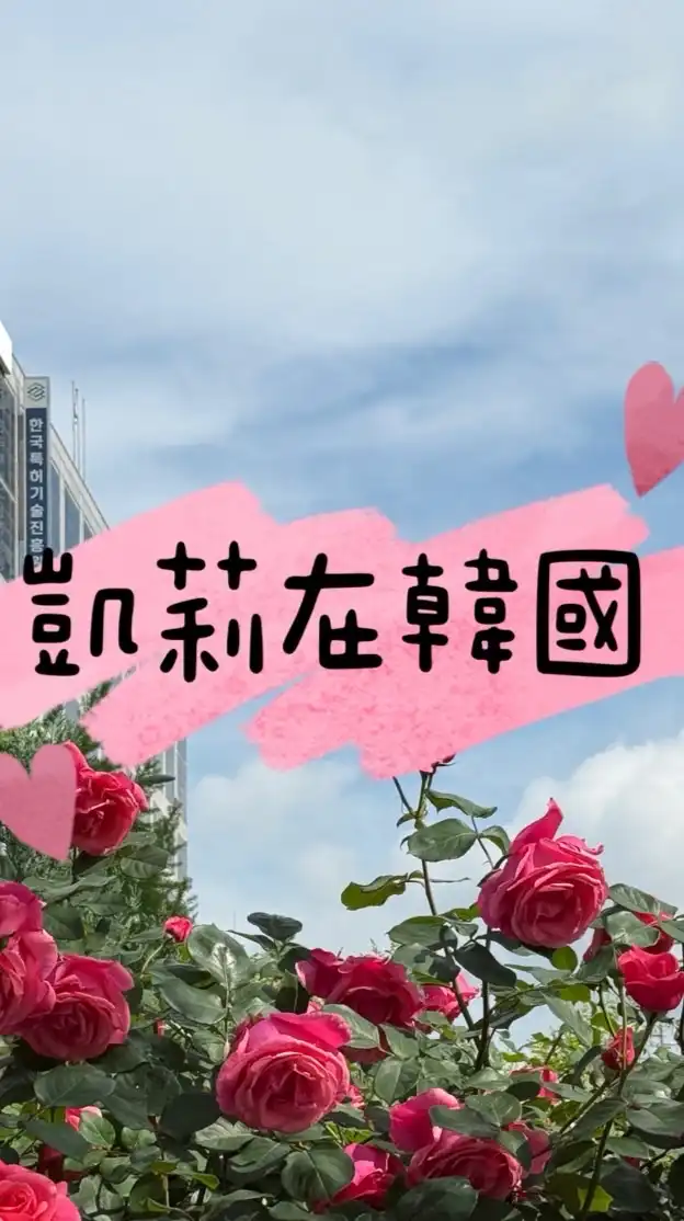 凱莉在韓國🇰🇷 暱稱請改成臉書名