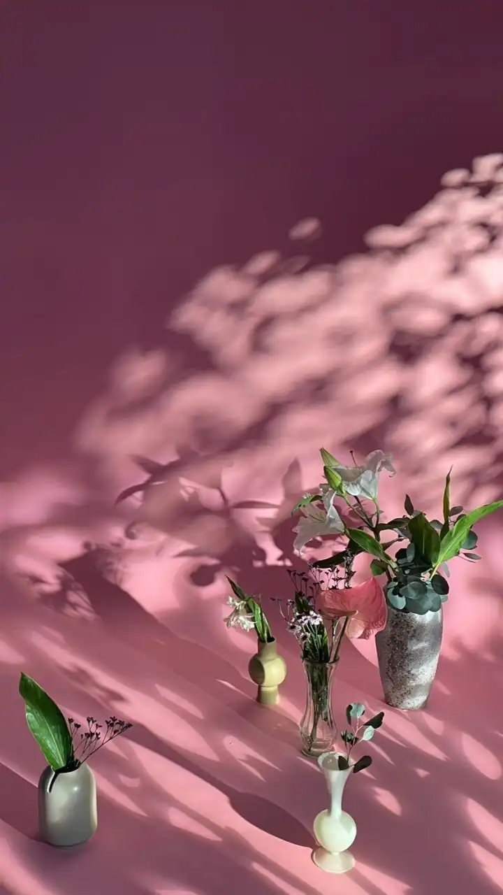 PIMGO 選物社群🧺