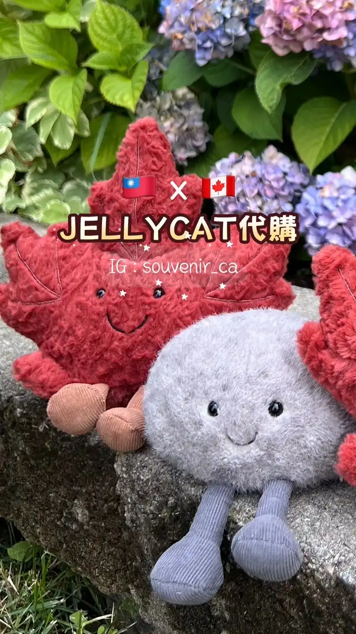 🇨🇦加拿大快閃代購連線