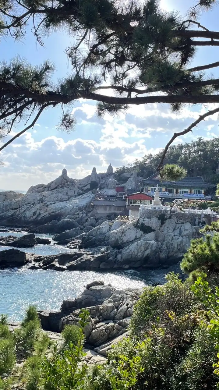 虫二 日.韓國連線代購