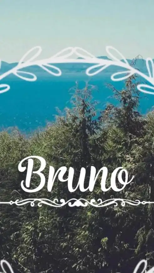 Bruno 球鞋商店