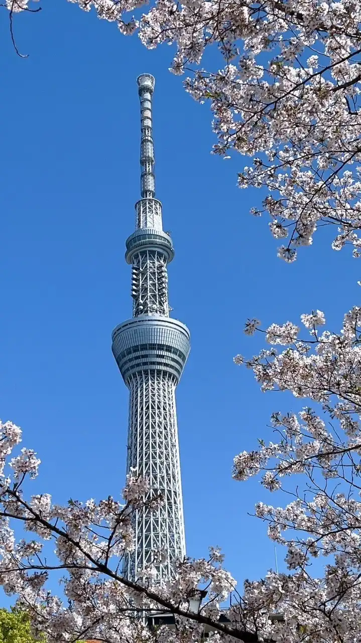 ✈️小鹿代購🩵 12/15-12/17福岡連線🇯🇵