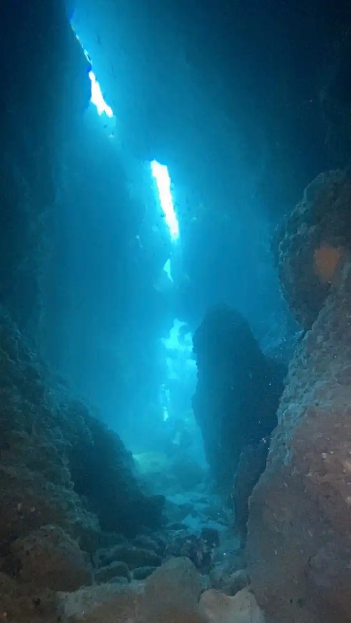全國基層兒科看板