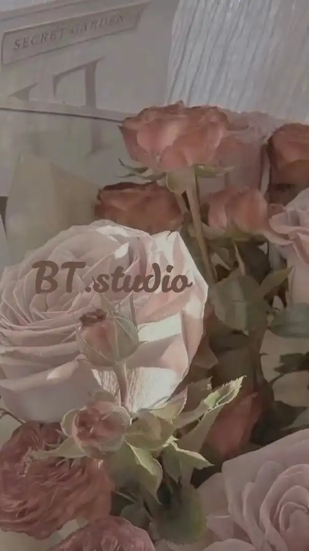 BT.studio 韓國代購