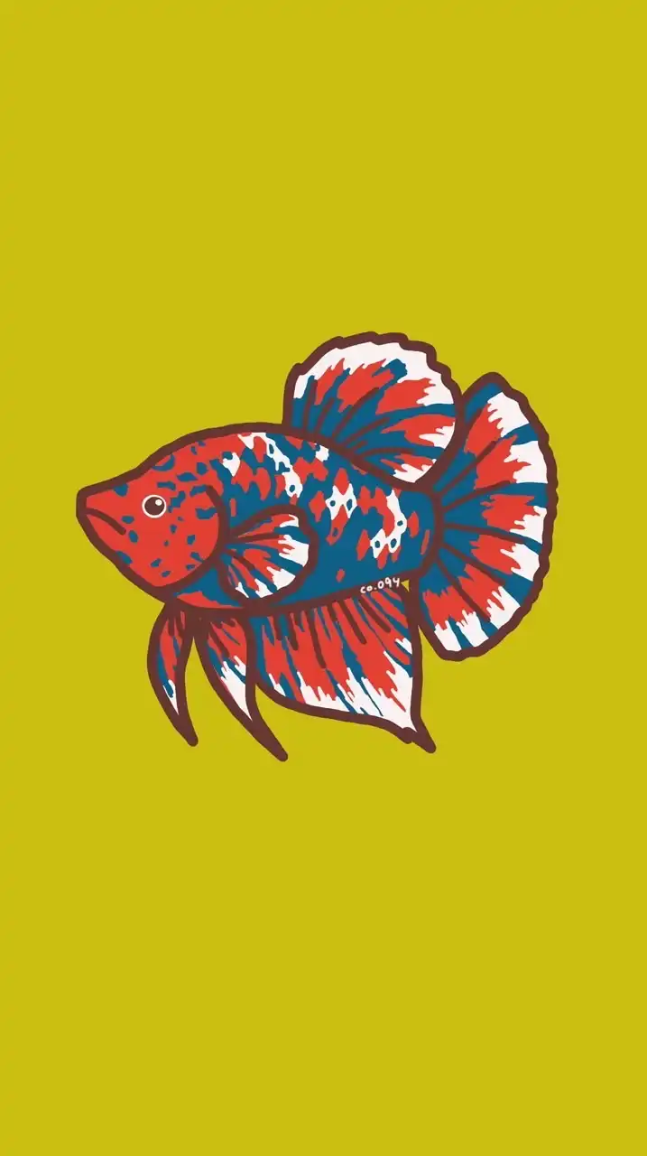 百變鬥魚