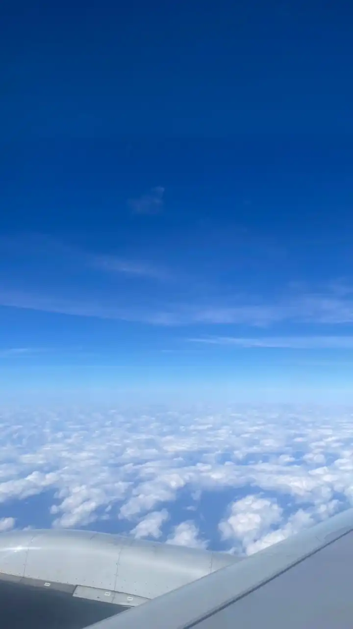 阿端蓁好玩就愛去旅行