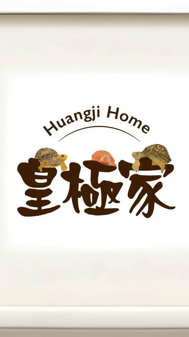 皇極箱龜小學堂