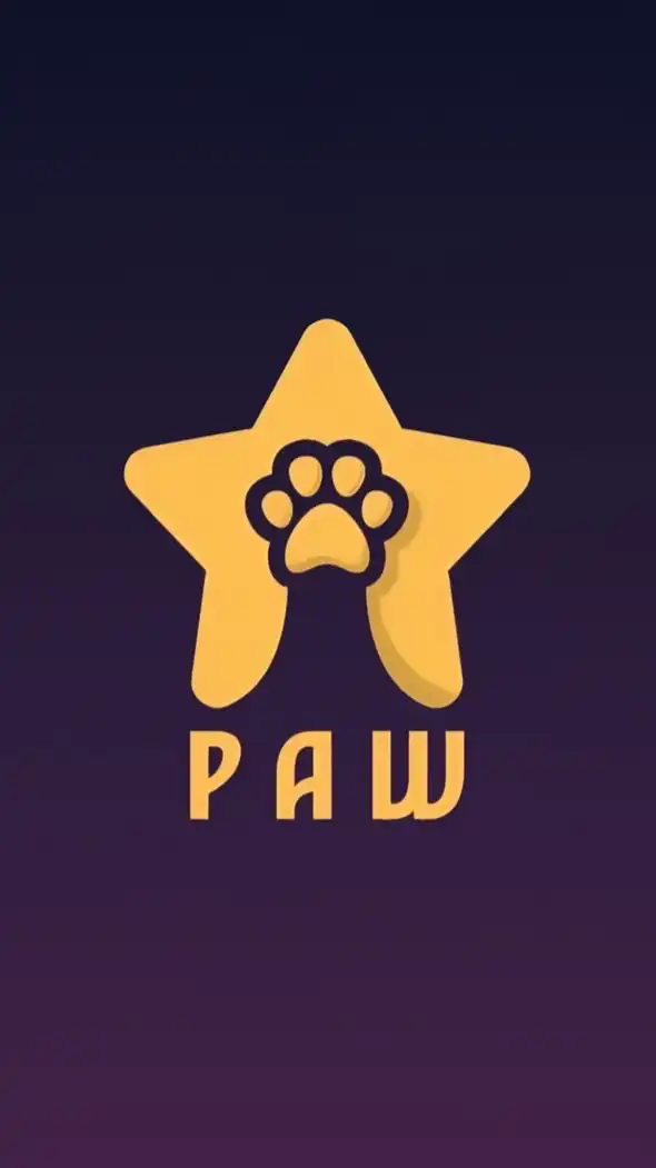 🐾屁貓PTCG研究所🐾