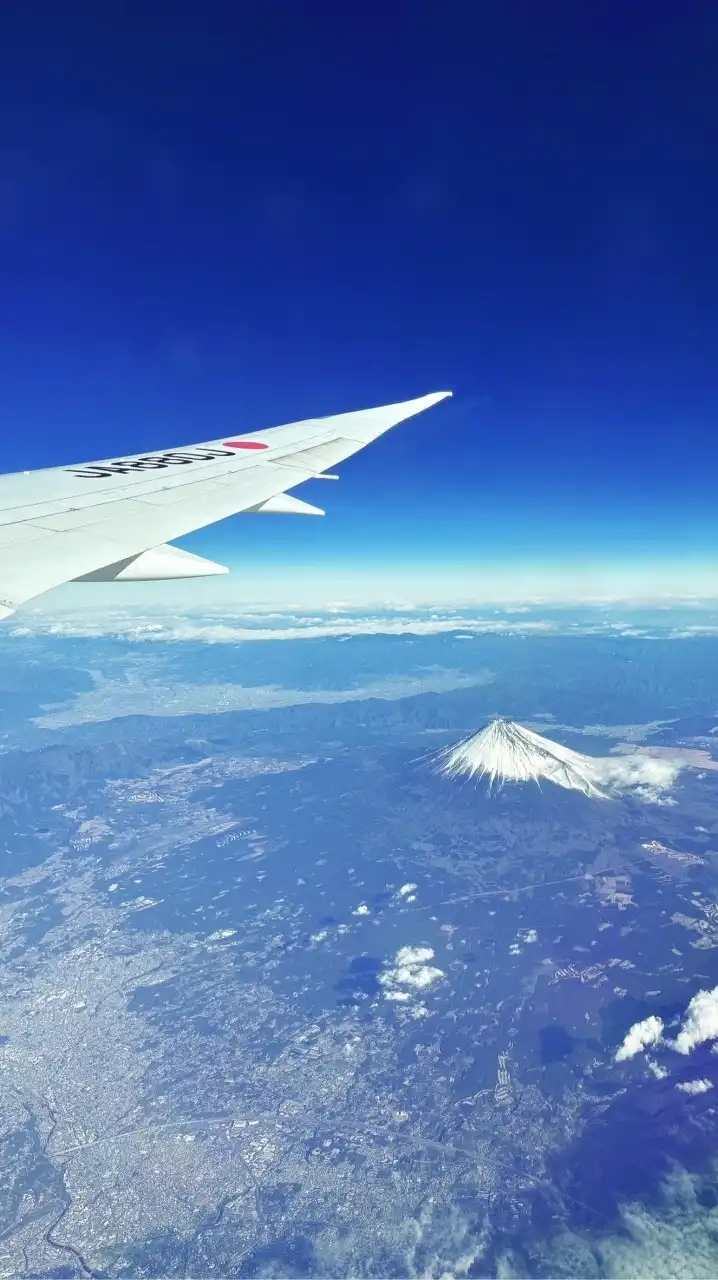LuLu帶你輕鬆飛✈️說走就走一起去旅遊🫰🏻