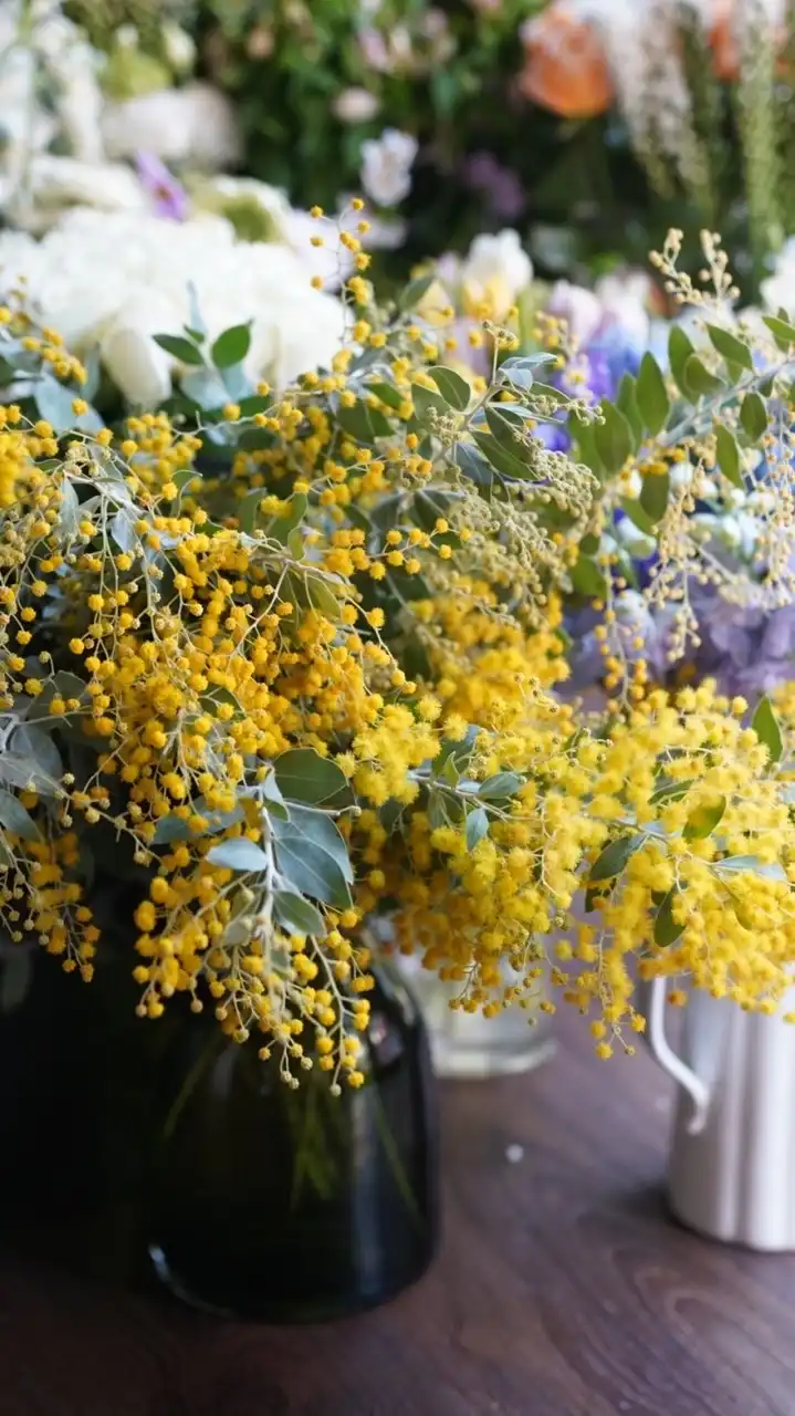 雀室｜花與器的日常提案