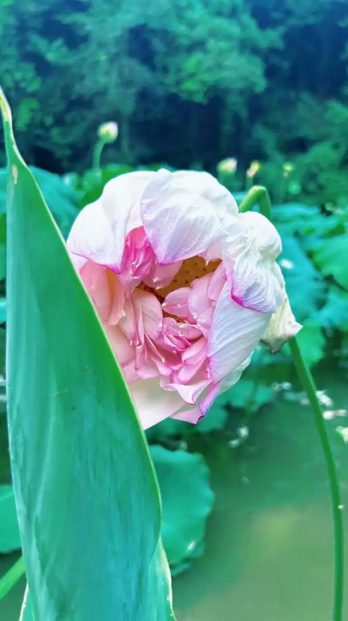 台股實戰群