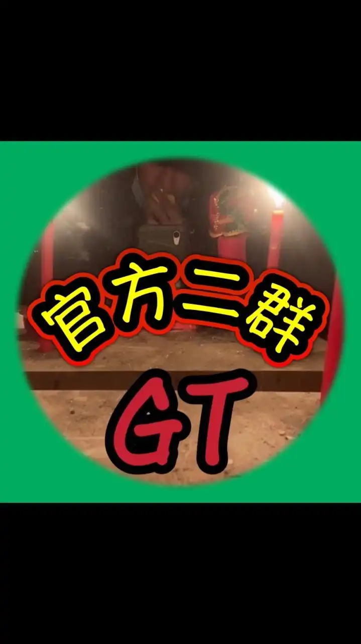 GT直播｜官方二群