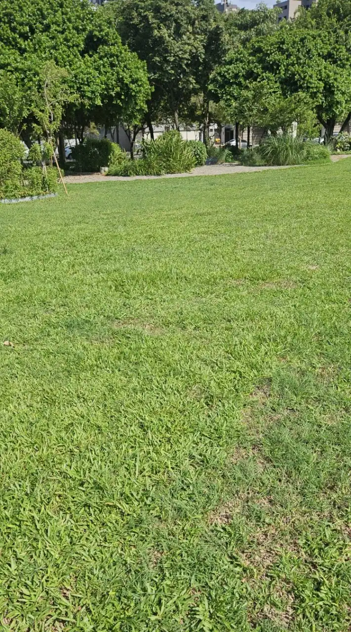 腦神經問題討論區食物四分法