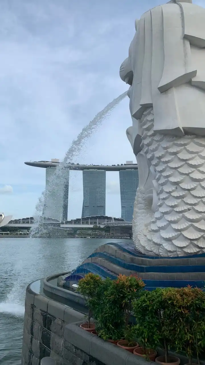 郭漢聰的小花園