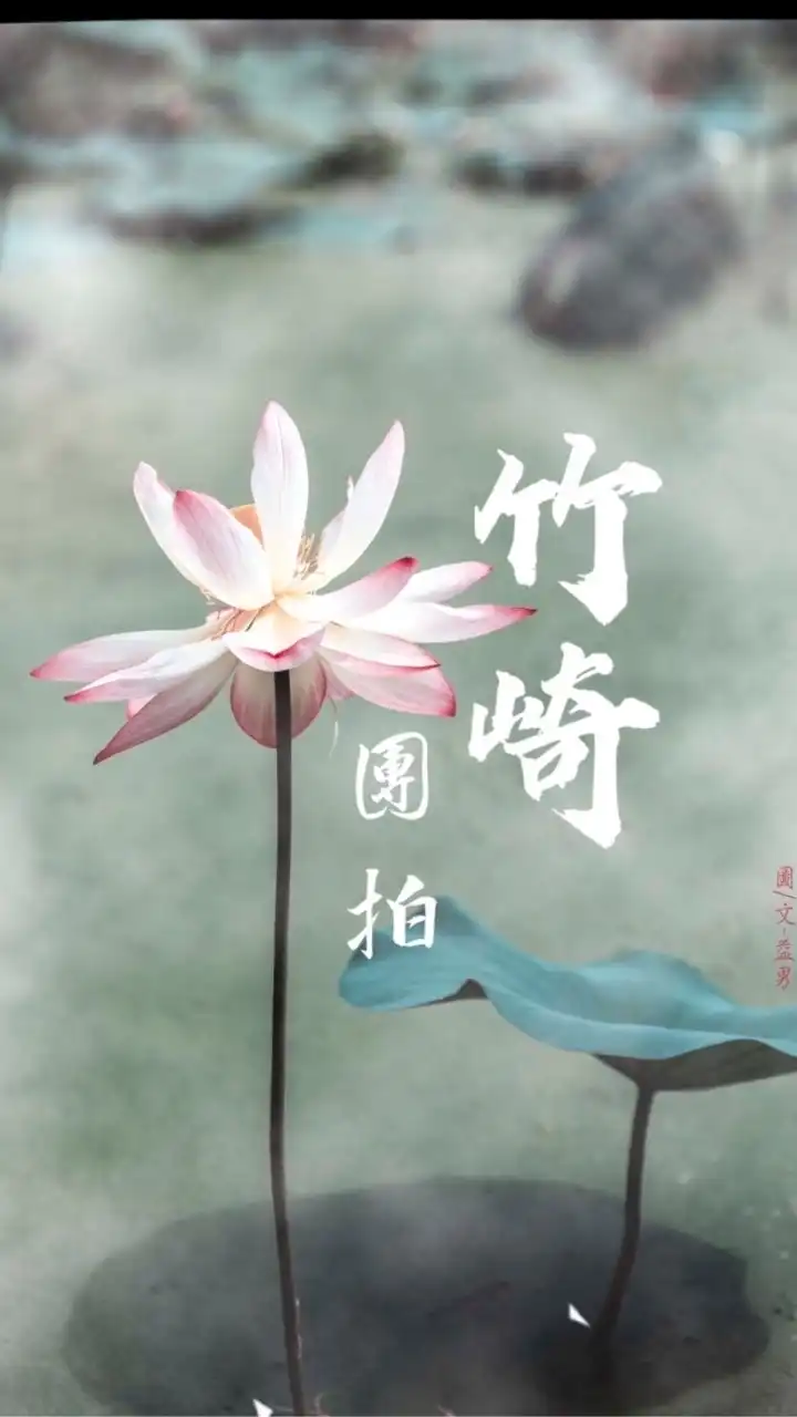 竹崎周五早上道家團拍社群