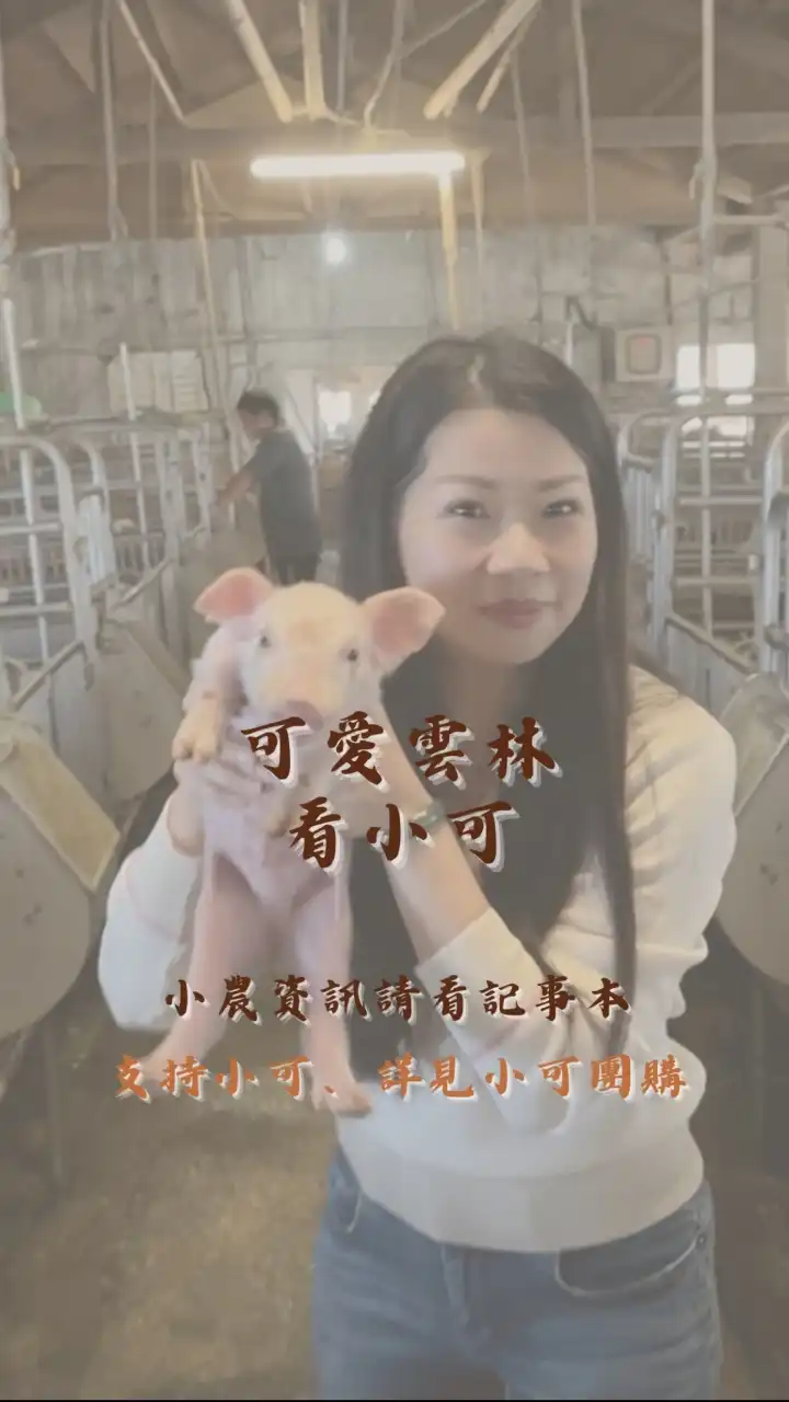 可愛雲林看小可