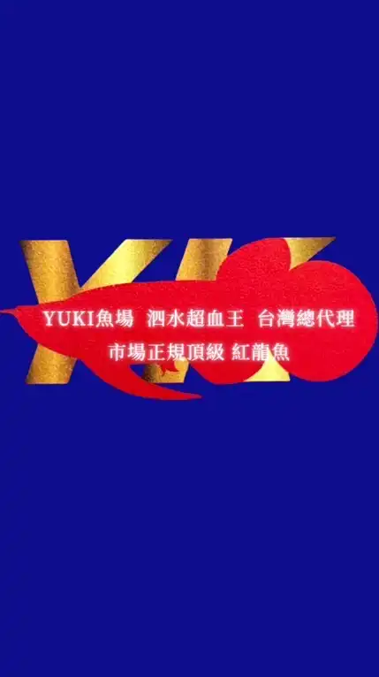 泗水超血王-Yuki紅龍魚交流專區