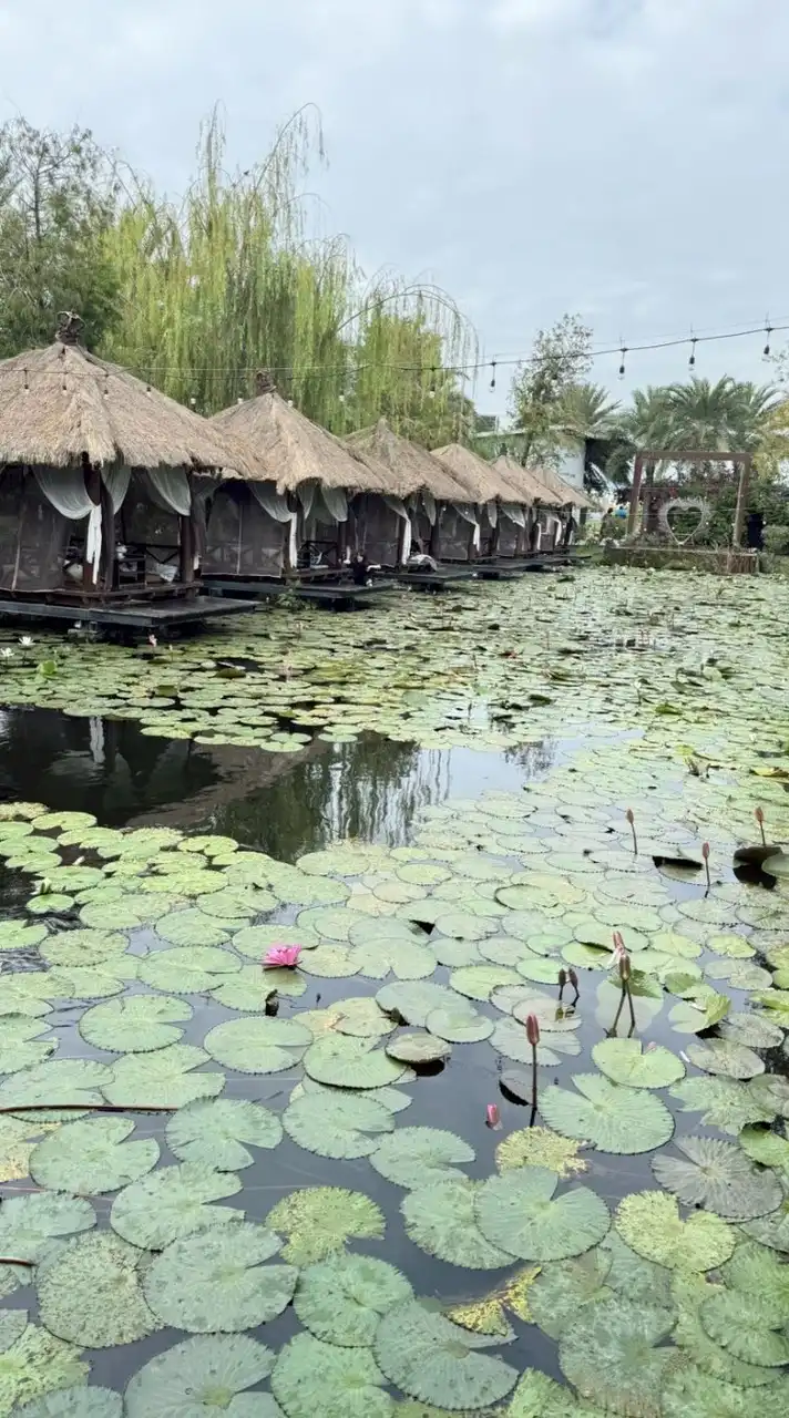 💥優越高雄養生會館SPA💥