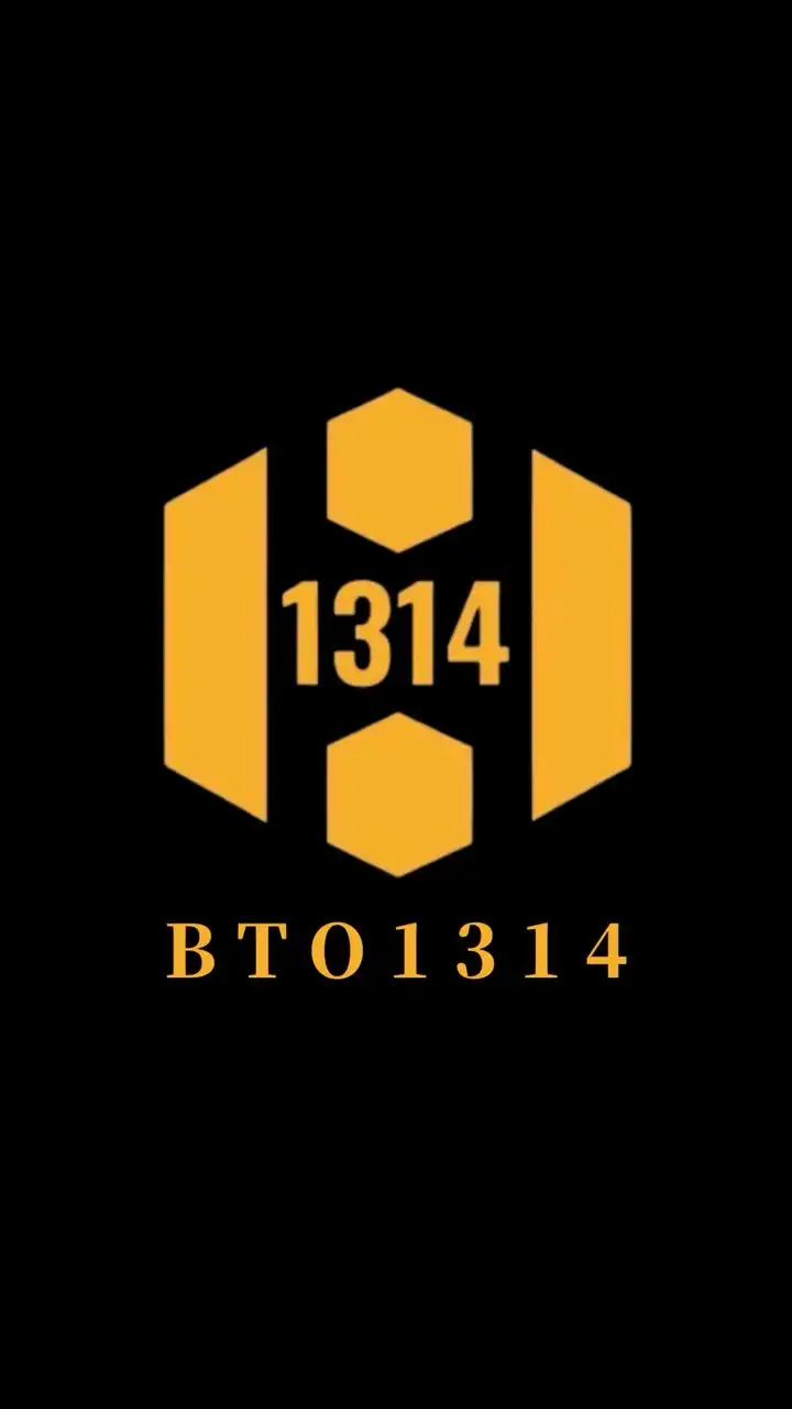 幣得BTO1314總群