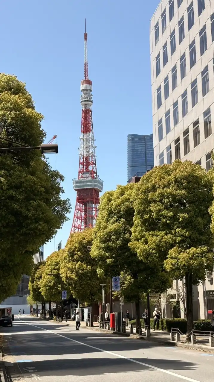 日/韓連線代購11/1-11/16