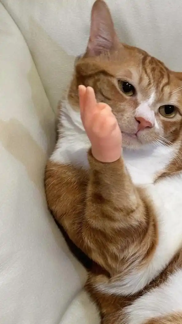 瘋狗聯盟瘋狂嘴砲